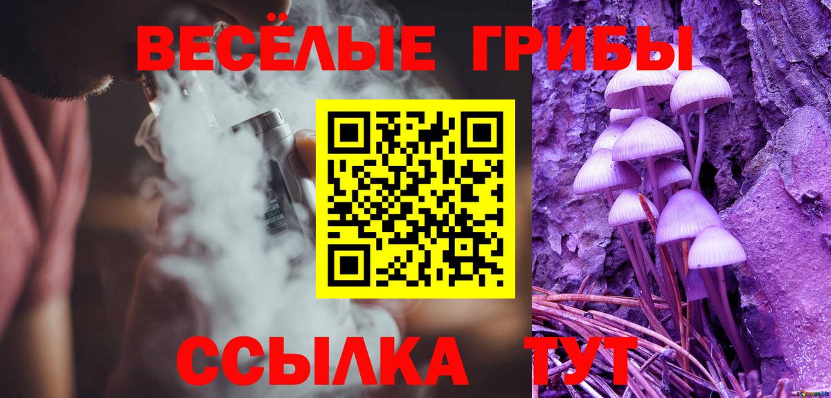 Псилоцибиновые грибы MAGIC MUSHROOMS  Вход с VPN  Ковров 