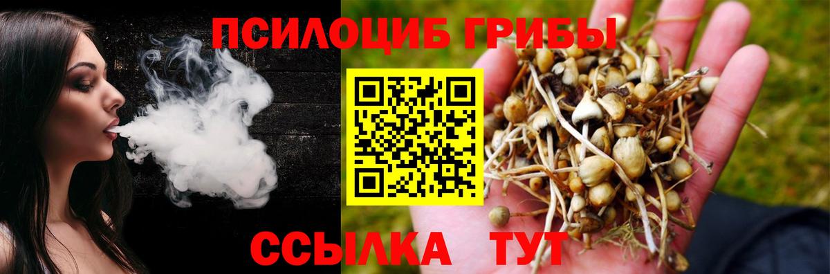 Галлюциногенные грибы MAGIC MUSHROOMS Ковров